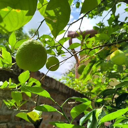 Eckhardt Vendeghaz Ξενοδοχείο Villány Εξωτερικό φωτογραφία
