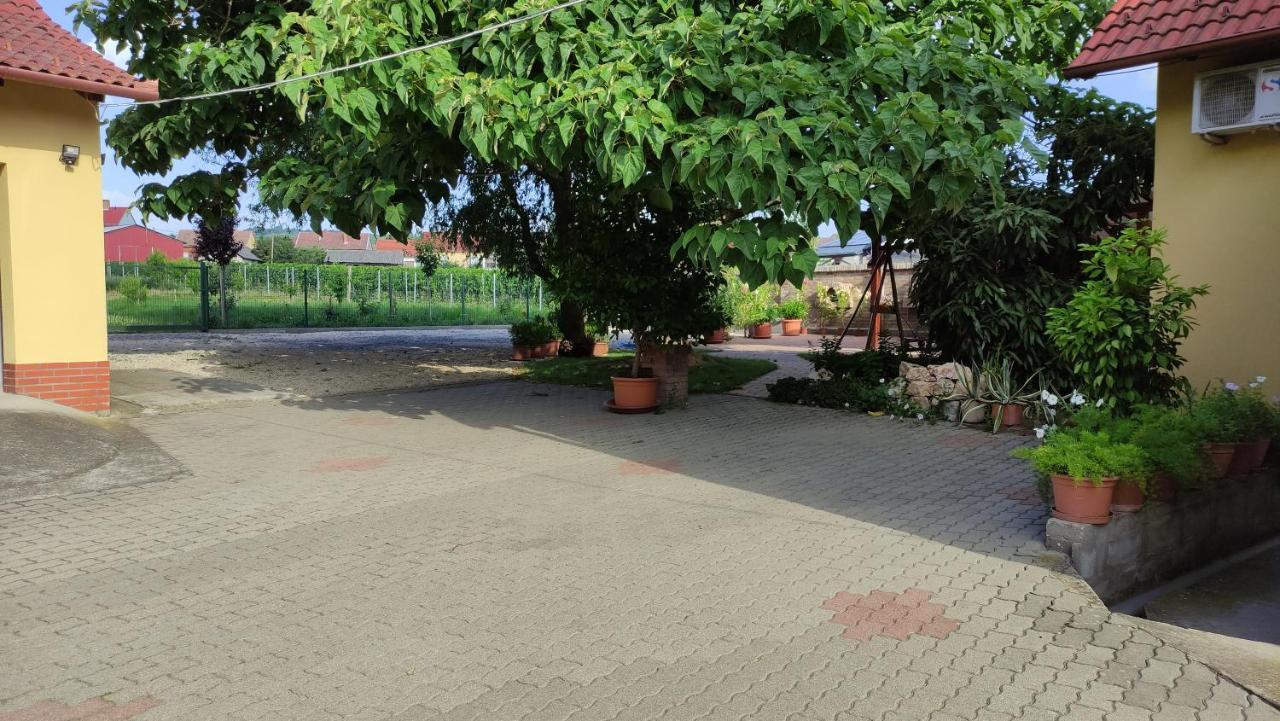 Eckhardt Vendeghaz Ξενοδοχείο Villány Εξωτερικό φωτογραφία