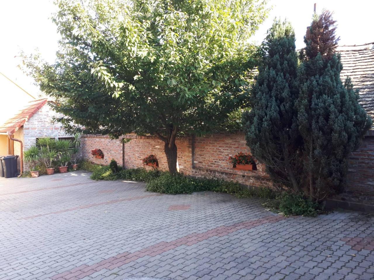 Eckhardt Vendeghaz Ξενοδοχείο Villány Εξωτερικό φωτογραφία